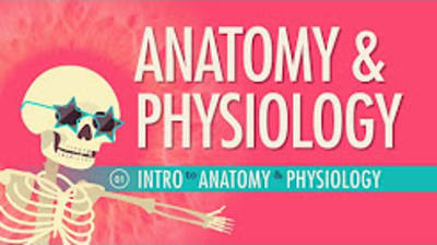 Anatomy & Physiology Crash Course