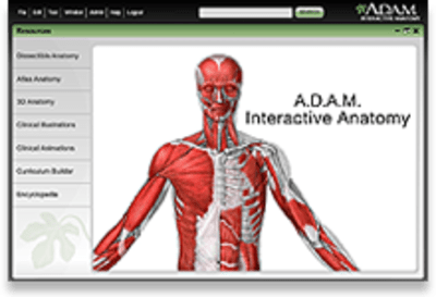 A.D.A.M. Interactive Anatomy 