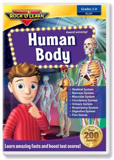 Human Body