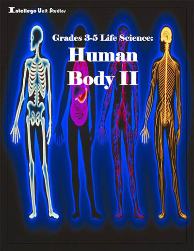 3-5 Life Science: Human Body II
