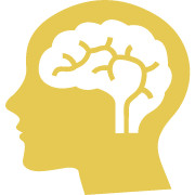 State University of New York (SUNY)