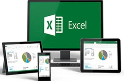 Analyzing and Visualizing Data with Excel
